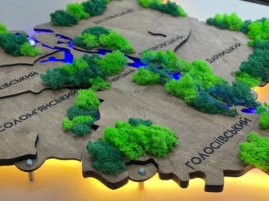 Карта міста Київ на акрилі з підсвіткою річок та мохом, колір Rosewood