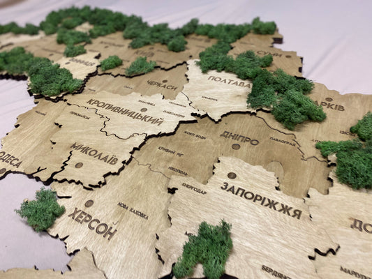 Карта України 3D з мохом без підсвітки колір Oak